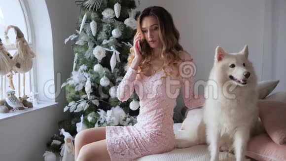 糟糕的圣诞节沮丧的女孩坐在靠近白狗的床上在圣诞树的背景下用手机交谈视频的预览图