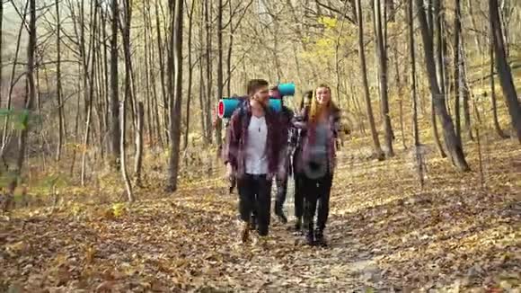 快乐的徒步旅行者走在秋天的森林里视频的预览图
