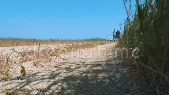 两名年轻游客正沿着长满芦苇的沙滩散步视频的预览图