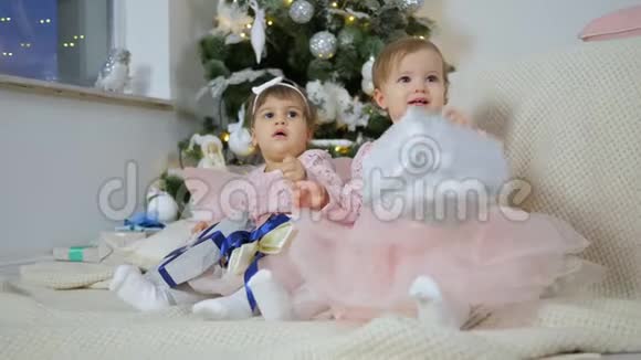 新年穿着粉红色连衣裙的小姐姐们坐在格子布上在圣诞树的背景下放着礼品盒视频的预览图
