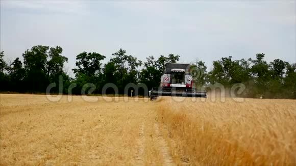 小麦背景农业机械组合收割机和收割机在田间工作慢运动视频的预览图