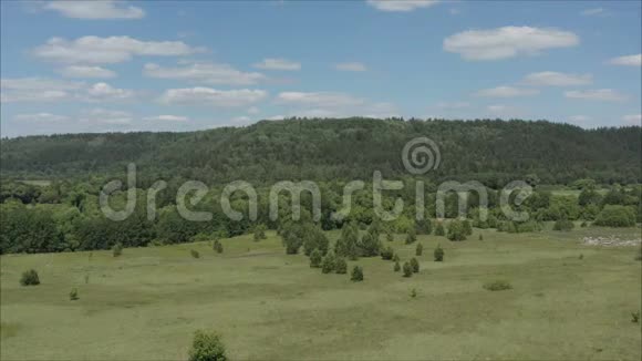 俄罗斯的森林草原草原和阿尔卑斯山上空的戏剧性云团俄罗斯俄罗斯的性质视频的预览图