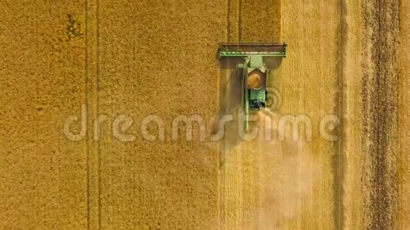 俯视图联合收割机收集小麦在日落收获粮田作物季节视频的预览图