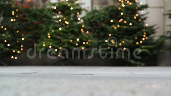 几个情人和他们可爱的狗在散步背景上有装饰的圣诞树视频的预览图