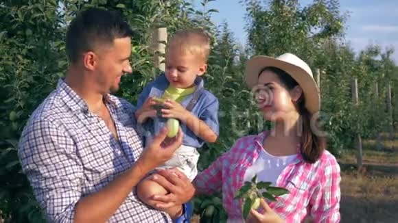 农村生意快乐的年轻父母带着小男孩在苹果园喝新鲜果汁视频的预览图