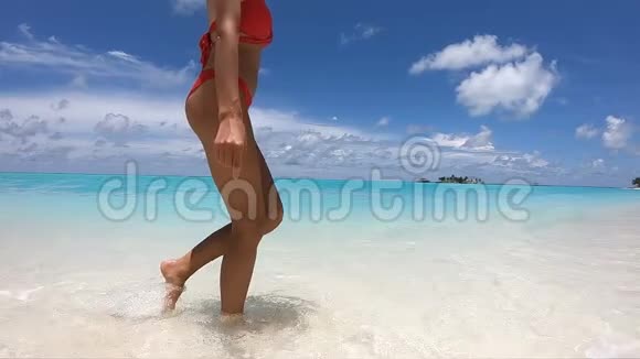快乐女孩在马尔代夫海滩上散步支持240fps全高清1080视频的预览图