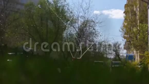 用慢镜头拍摄后院草坪地面卢埃尔视频的预览图