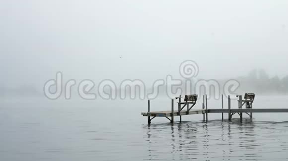 鸭子在雾湖码头游泳视频的预览图