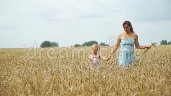妈妈在麦田里散步的小女孩视频的预览图