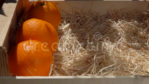 手把成熟多汁的橘子放进木箱里视频的预览图