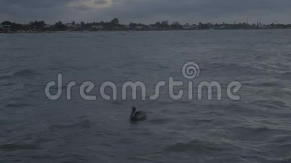 在海里游泳日落时平静的海水4K视频的预览图