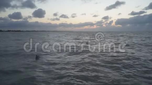 在海里游泳日落时平静的海水4k视频的预览图