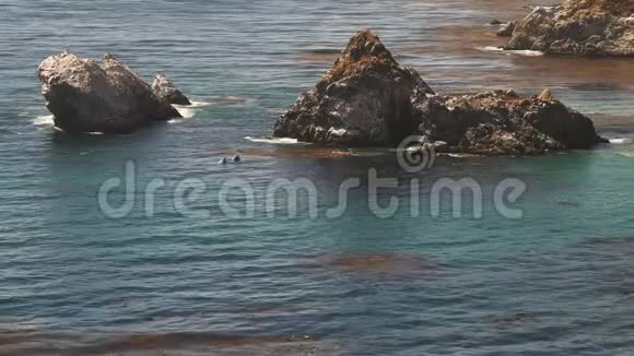 在大苏尔的加利福尼亚海岸关闭两只迁徙的鲸鱼视频的预览图
