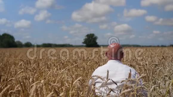 一个人坐下来在背景多云的天空上在麦田里摸着一只麦穗概念生态清洁空气视频的预览图