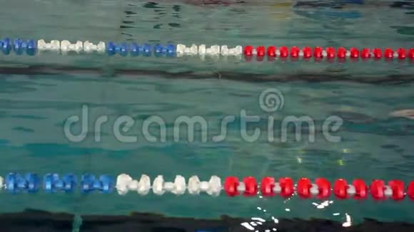 女运动员背部游泳视频的预览图