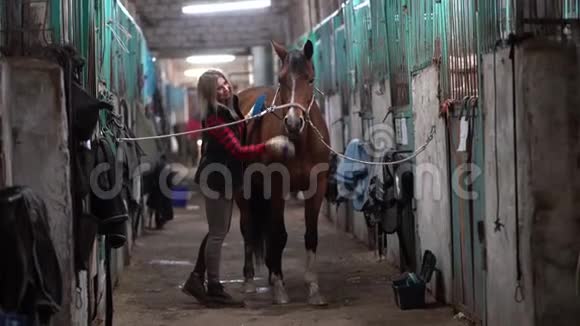 一个穿着时髦衬衫的漂亮女孩正在马厩里洗一匹棕色的马视频的预览图