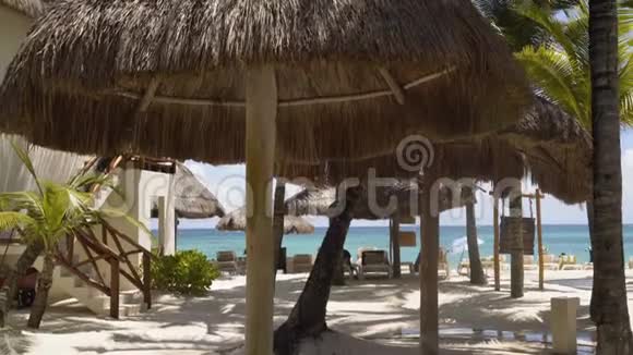 茅草屋顶海滩别墅加勒比海背景下的棕榈滩4K视频的预览图