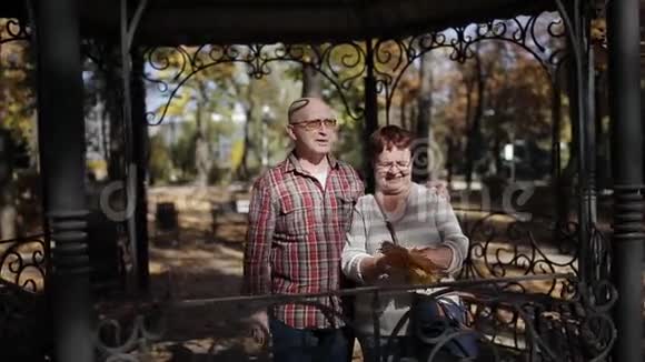 老人和女人兴高采烈地笑着站在美妙的秋天公园里手里拿着落叶视频的预览图