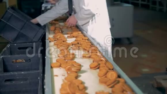 工人在生产线上挑选甜饼食品厂生产线上的甜面包店烘焙厂生产视频的预览图