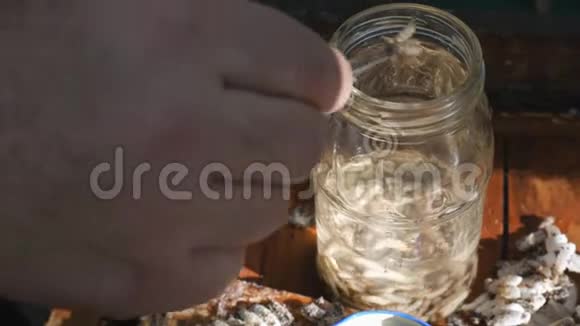 养蜂人收集幼虫蜡蛾叮咬蜂窝蜂蛾药中药视频的预览图