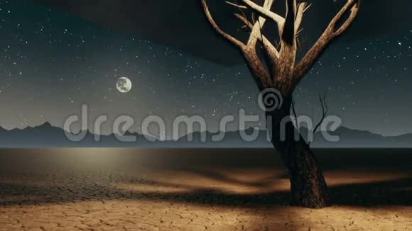 夜间在末日沙漠中的超现实孤独立方树视频的预览图