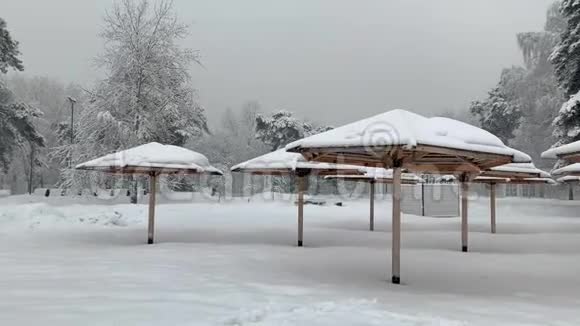 雨伞日光浴被雪覆盖冬天不是人是空的公园视频的预览图