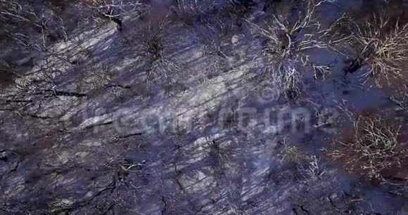 从上往下看森林覆盖着雪和小溪视频的预览图