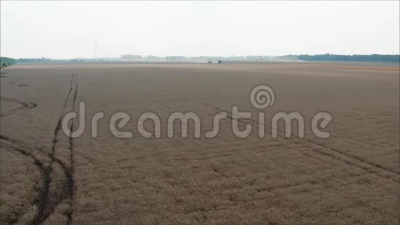 夏季收割小麦两台红色收割机在田间工作2田里有两个收割机视频的预览图