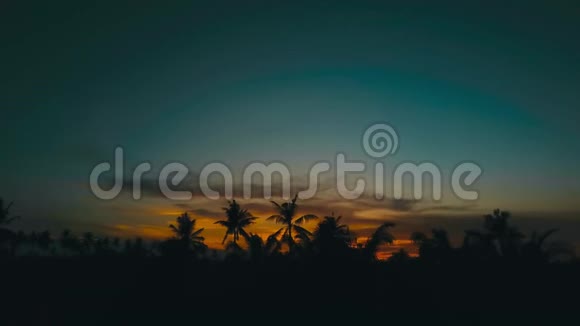 村庄里有棕榈树的金色夕阳视频的预览图