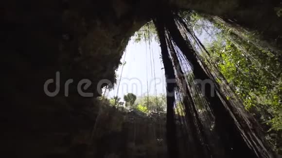图卢姆的塞诺特洞穴探险视频的预览图