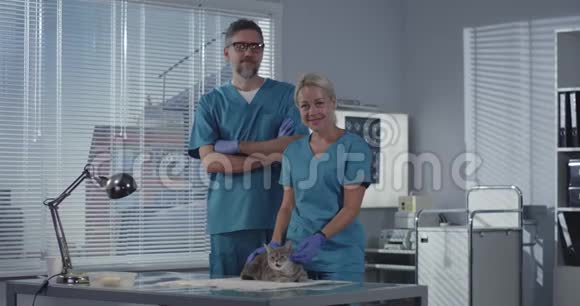 女兽医抱着猫视频的预览图