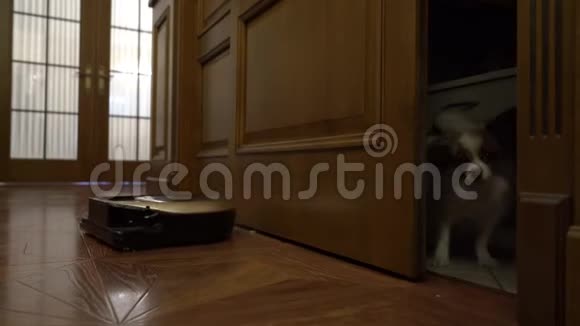 狗打机器人吸尘器视频的预览图