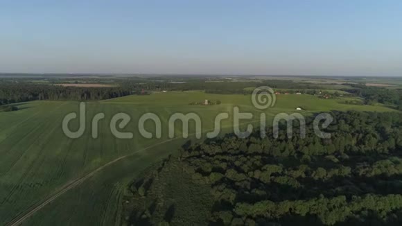 空中飞越Dududki位于森林和田野周围视频的预览图