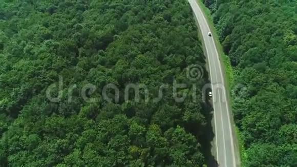 林中乡村公路上白色汽车行驶的鸟瞰图4K视频的预览图