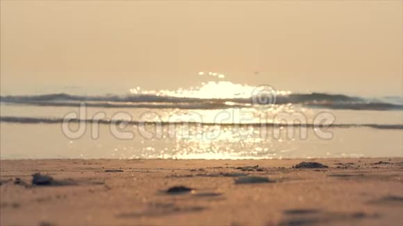 美丽的日落在热带的海洋背景日落时的夏季热带海滩和海洋景观视频的预览图