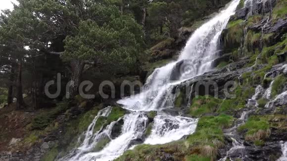春天一条溪流在群山之间的梯级水从岩石上反弹比利牛斯山脉的景色视频的预览图