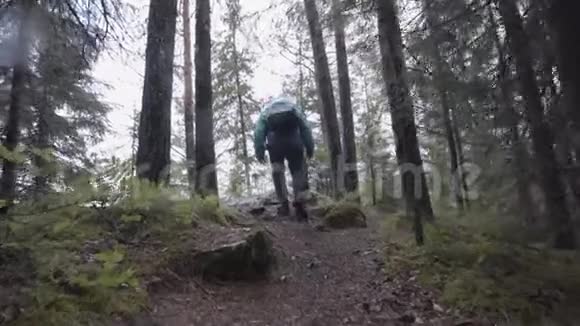 带背包的游客在山林中爬上岩石小径的后景冒险和徒步旅行的概念股票视频的预览图