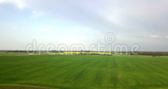 鸟瞰年轻的绿色麦田与傍晚夕阳的天空熟穗小麦农业天然产品视频的预览图