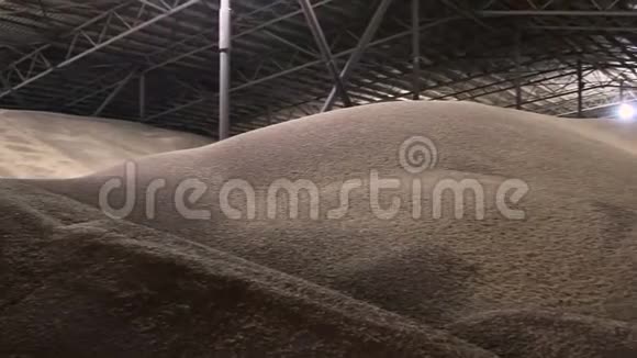 存放麦粒的机库全景覆盖暗存区小麦低键视频的预览图