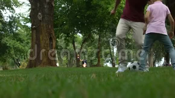 父子俩在公园里踢足球户外活动健康的生活方式视频的预览图