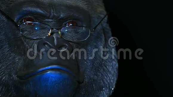 大猩猩头眼镜深色背景高清镜头视频的预览图