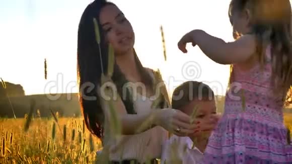 有孩子的亚洲妈妈夏天在田里散步坐在麦子里拥抱女儿家庭观念视频的预览图