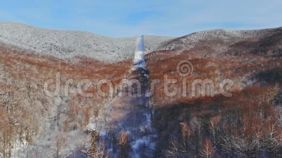 在寒冷的山林中高空背景高过冬雪覆盖树木视频的预览图