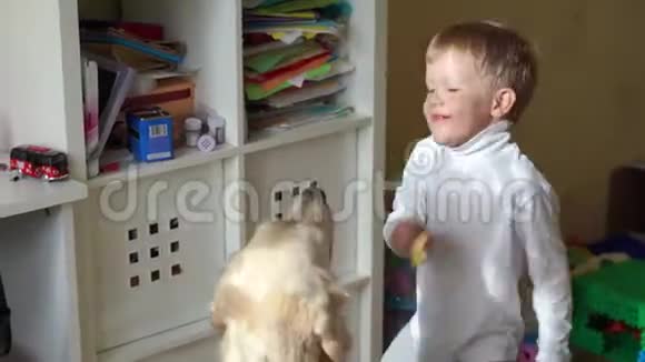 家庭生活方式小男孩和他的大狗在家玩视频的预览图