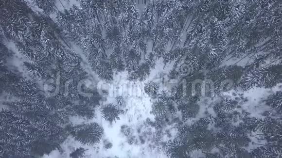 冬季从雪山顶上飞松视频的预览图