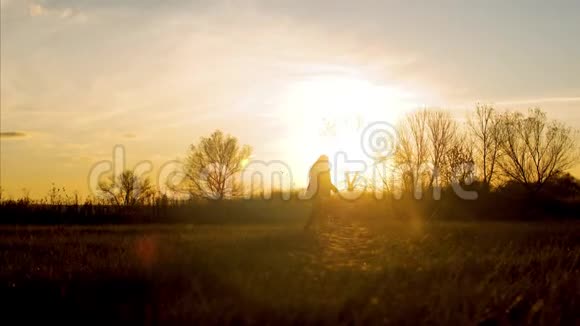 夕阳下女孩和一只狗在秋天的草地上散步视频的预览图