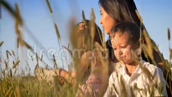 亚洲母亲带着孩子在夏天的田野里散步坐在小麦里家庭观念作物前景视频的预览图