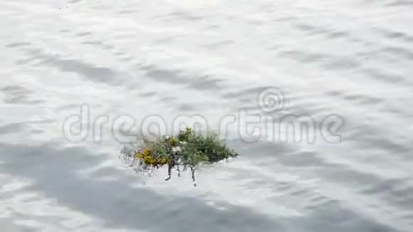 在伊凡库帕拉节的庆祝活动中花圈带来河水视频的预览图