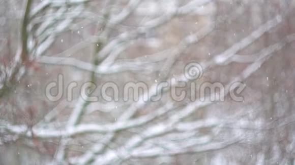 冬天花园里窗外的雪视频的预览图