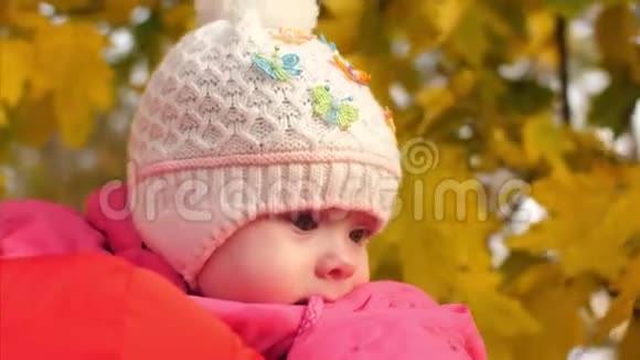 和她母亲在一起的孩子正在秋天的公园里散步妈妈在树上展示了黄色的秋天枫叶近点视频的预览图